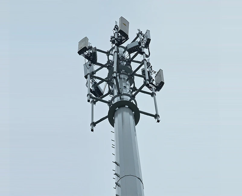 Projet de protection des stations de base des op&eacute;rateurs de t&eacute;l&eacute;communications en Asie du Sud-Est
